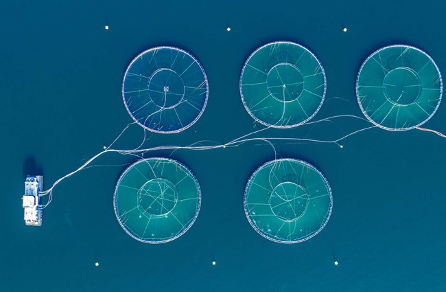 Building capability in renewable energy and aquaculture in the deep ocean