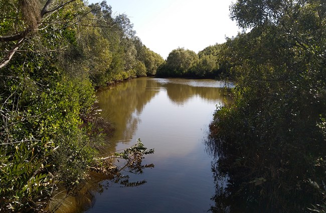 Sunshine coast airport - banner 