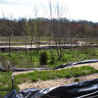 Remediation and Contamination