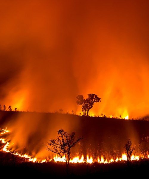 BMT climate risk and resilience services